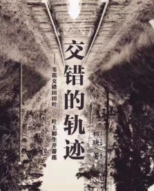 交錯的軌跡劇本殺