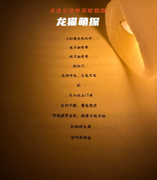 晝起三伏天劇本殺