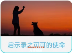 啟示錄之囚籠劇本殺兇手答案（我是謎系列）角色任務(wù)/線索流程真相結(jié)局