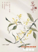 忍冬（紅豆2月光）角色的CP組合是誰(shuí)？劇本殺真相復(fù)盤劇透！