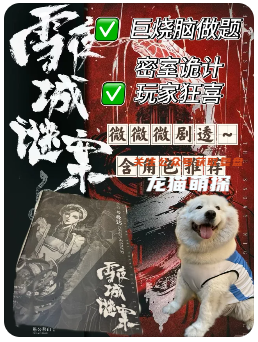 雪夜城謎案劇本殺