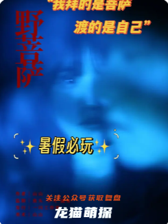 《野菩薩》劇本殺復盤測評